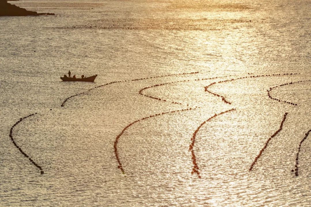 去大连海边玩一趟要多少钱,去海滨城玩有什么攻略