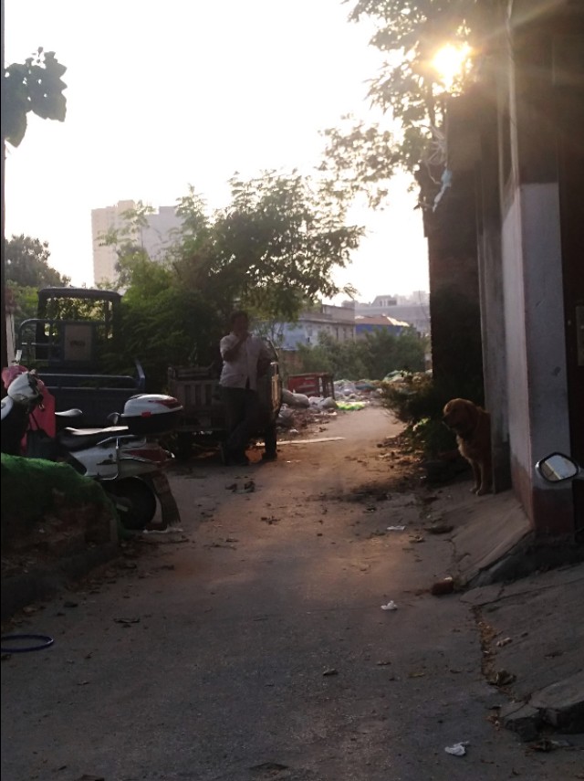 王玉：南阳益博社工的初秋一日行纪