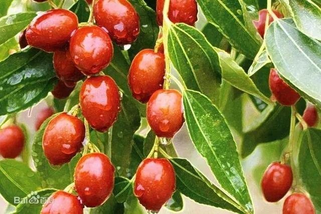 静海，你给天津争光了