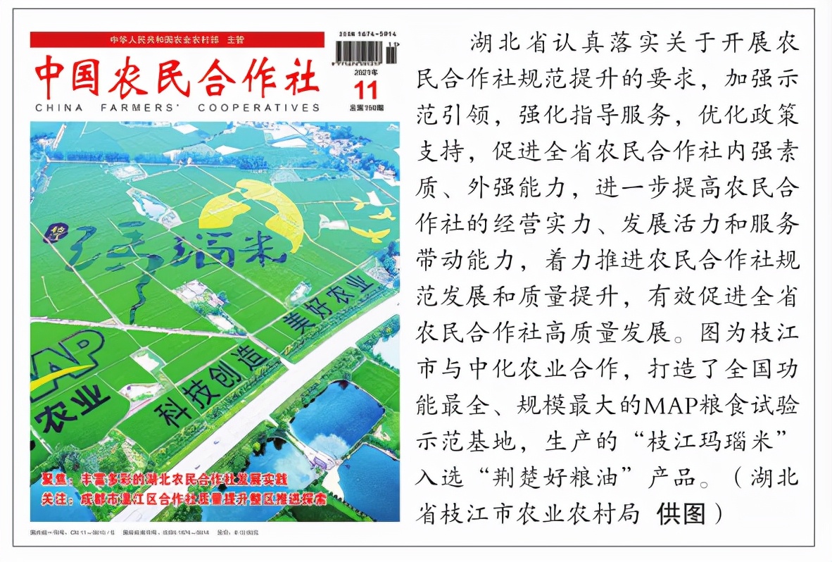 订单农业助种植大户增产增收,订单农业提高农村种粮积极性