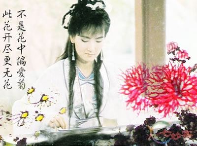 金庸最悲惨的两个男人,金庸笔下最惨男主丁典