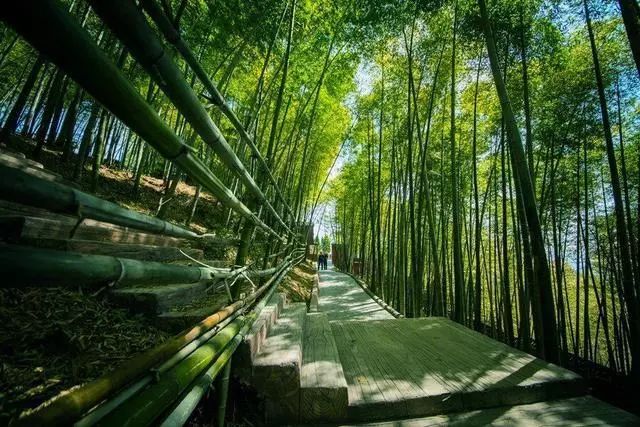 抗肺炎疫情我们在行动,抗击疫情路上我们在行动