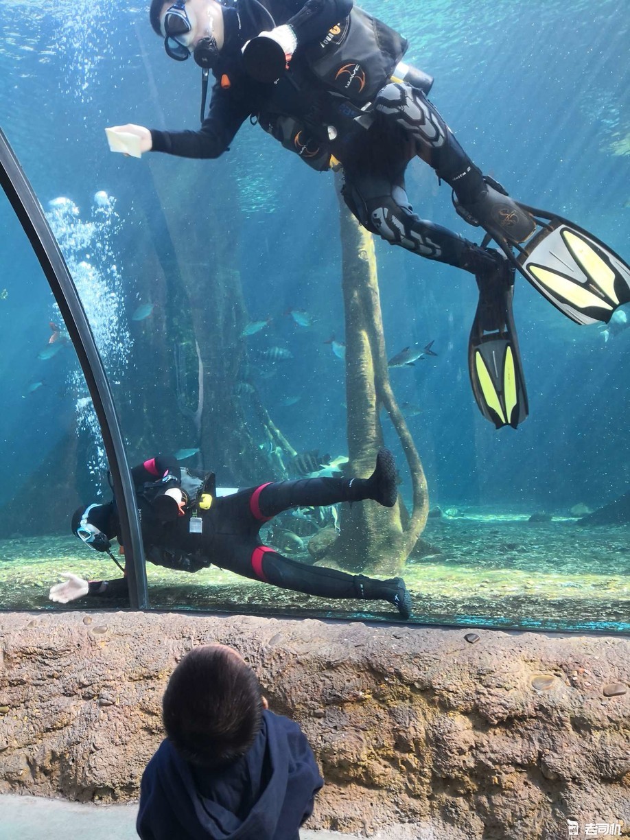 珠海长隆海洋王国攻略2天亲子游,珠海长隆海洋王国亲子游北极熊