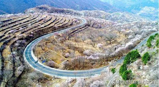 人间四月芳菲天,最美春天在房山——蒲洼行记