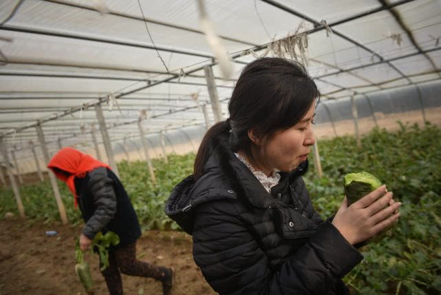 安徽90后萝卜西施,90后豆腐西施月入过万