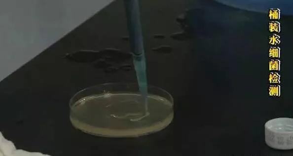 纯净水细菌总数标准,纯净水细菌含量高吗