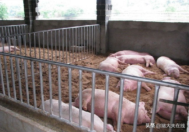 一例急性传胸的治疗心得，这样治简单省钱