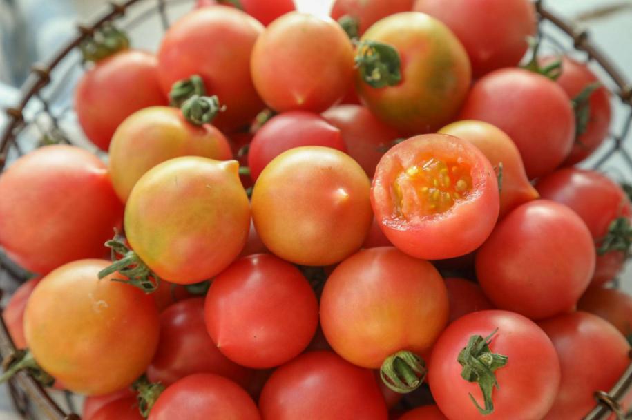 买西红柿时要小心“激素西红柿”，学会4个方法，轻松鉴别