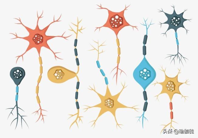 舌头怎么锻炼才有效果,怎么锻炼舌头的力量让吐字更清晰