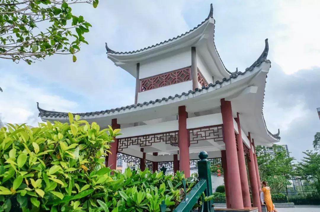 这里是观澜,下一站民治