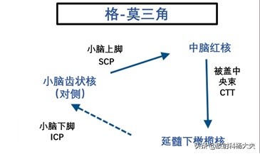 放射科趣味图片,放射科亮点图片