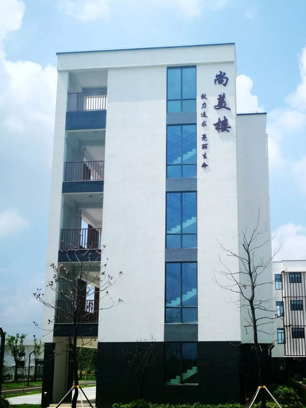 溧阳杨庄中学旧貌,常州市溧阳市杨庄小学