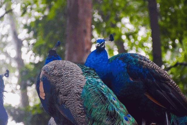 广州长隆儿童欢乐世界春节,广州长隆欢乐世界春游儿童玩什么