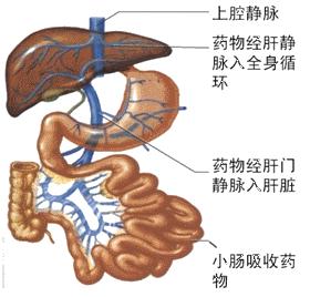 直肠给药的效果好不好,小儿直肠中药滴灌给药的优点