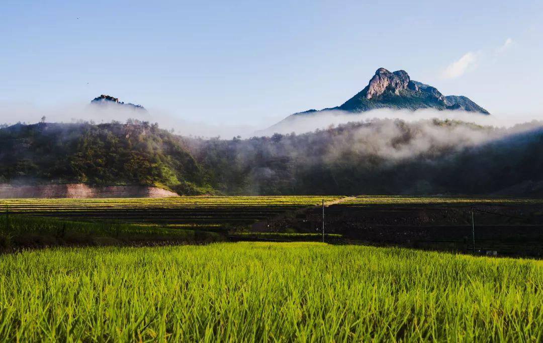 缙云旅游景点拍照攻略,缙云景区拍照攻略视频