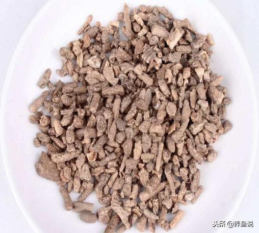 鱼缸水质偏酸怎么改善,兰寿鱼缸水质偏酸怎么办