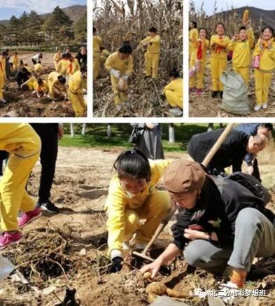 谱和谐之曲走奋进之路——延新一小五年级七班和谐团队申报专题