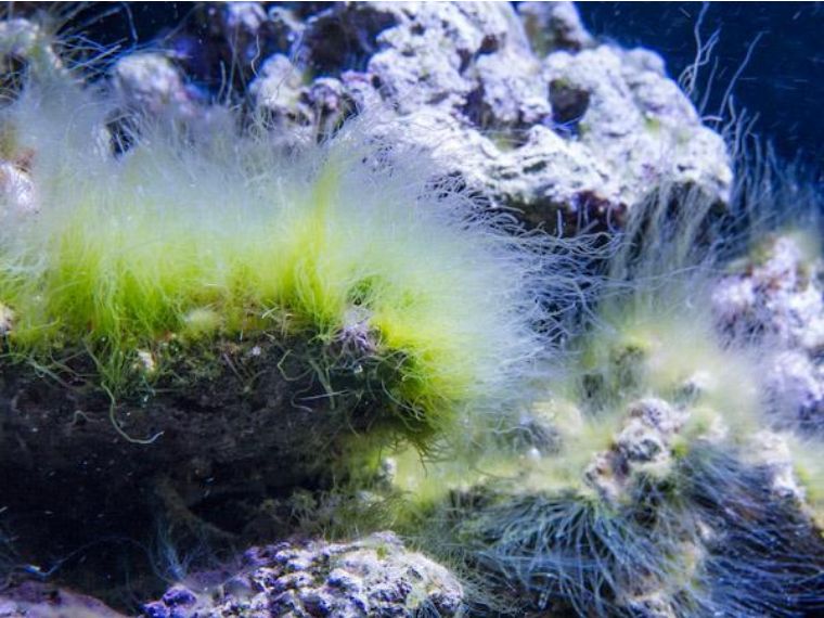 刚入光遇的萌新要知道什么,新入坑的萌新要随时保持警惕