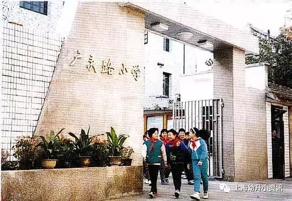 逆袭全市7所小学,逆袭上海全集完整版