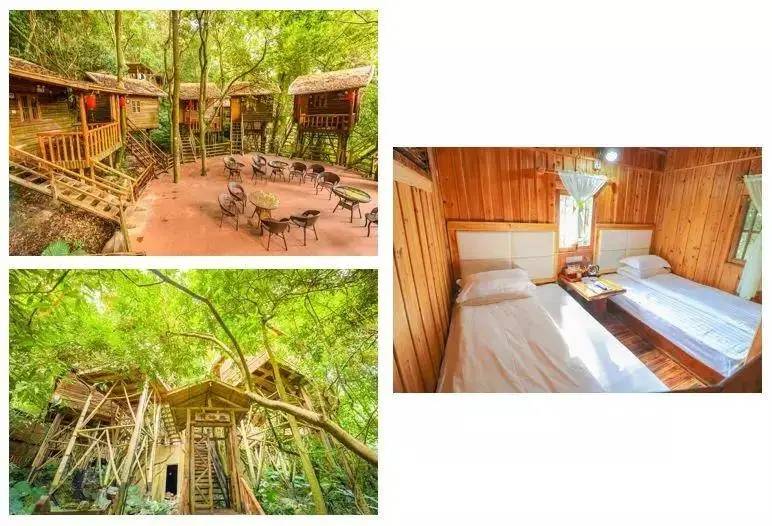 九州驿站英德天门沟树屋住宿价格,清远天门沟九州驿站