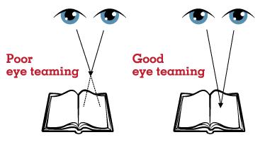 视觉学习指什么,视觉型学习的优缺点