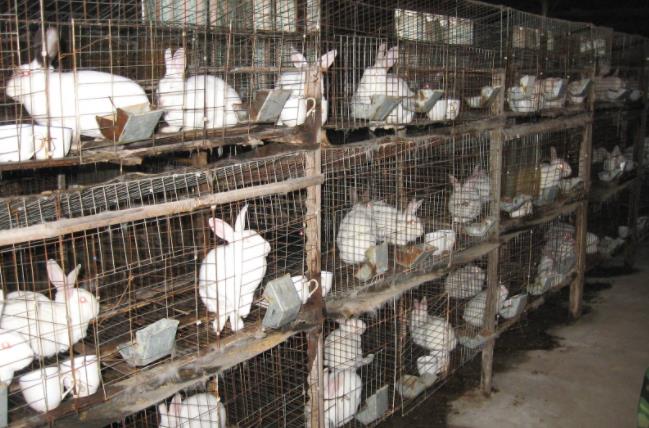 2018年最赚钱的门路,适合农村的21个赚钱门路