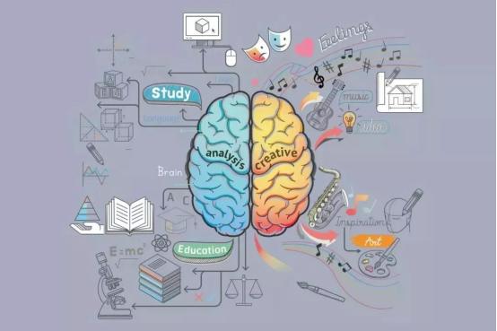 大思英语免费试学,大思英语学员视频全集