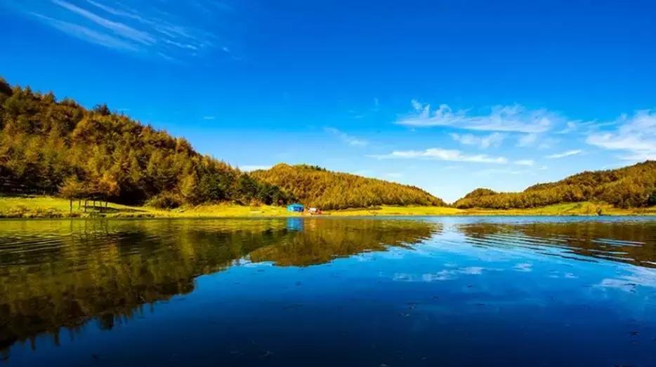 2022骞存仼鏂藉晢涓氶瓍鍔涙帓琛屾,榄呭姏鎵撳崱涔嬪煄鎭╂柦