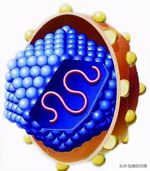 治疗丙肝国家有补助吗,治疗丙肝有优惠政策吗