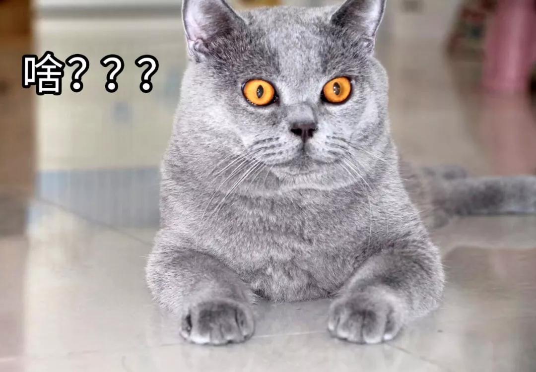 网约车被要求逆行,逆行网约车