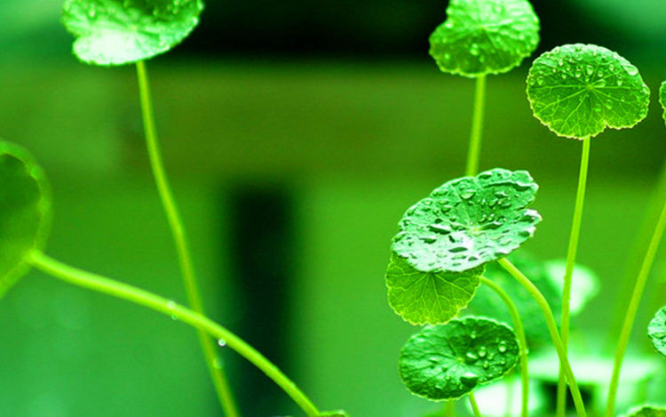 发微信经常不回的朋友,发微信别人不回怎么解决