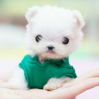 女人笑话100个,妇女们的笑话