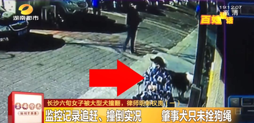 湖南大型犬追赶小孩外婆护住摔倒,白衣男子上前踹大型犬致老人摔倒