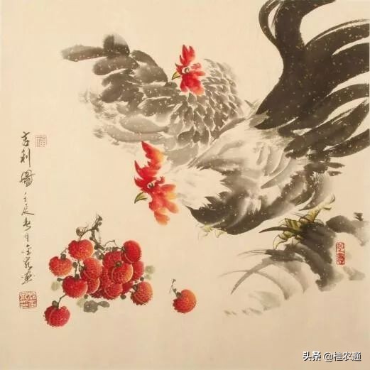 荔枝是岭南特有的水果吗,岭南荔枝最好吃吗