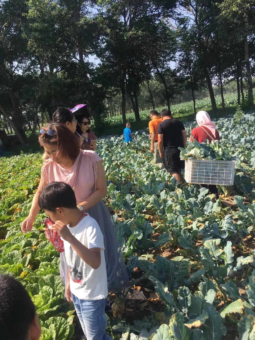 张北天路乌兰布统攻略,天津张北草原天路自驾游攻略