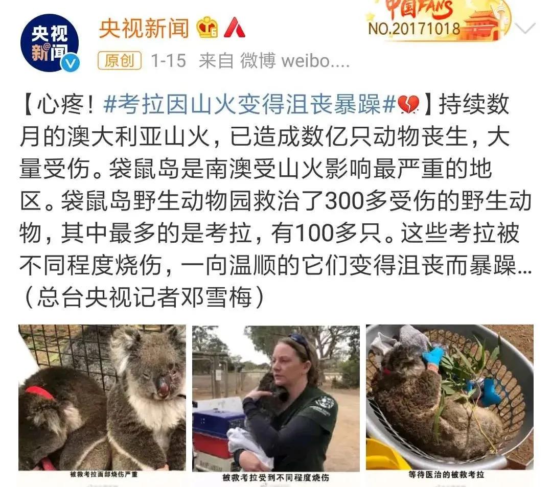 谁说*男猛**和萌猫必须二选一？这次我全都要