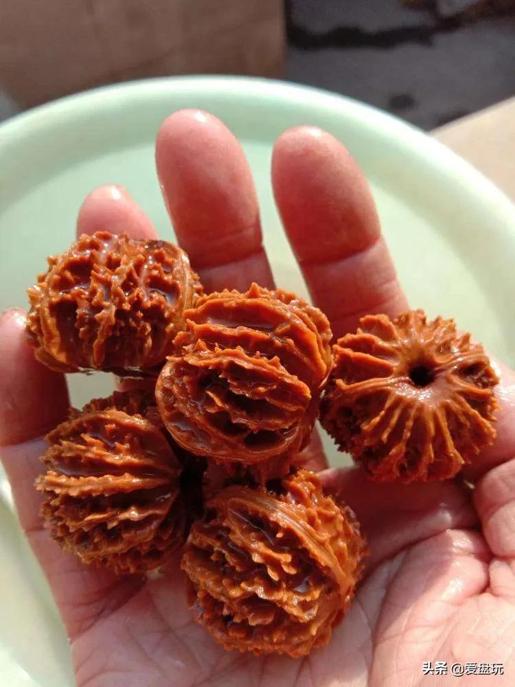 它是核桃圈的“虐手扛把子”，敢上手盘的，都是铁汉子