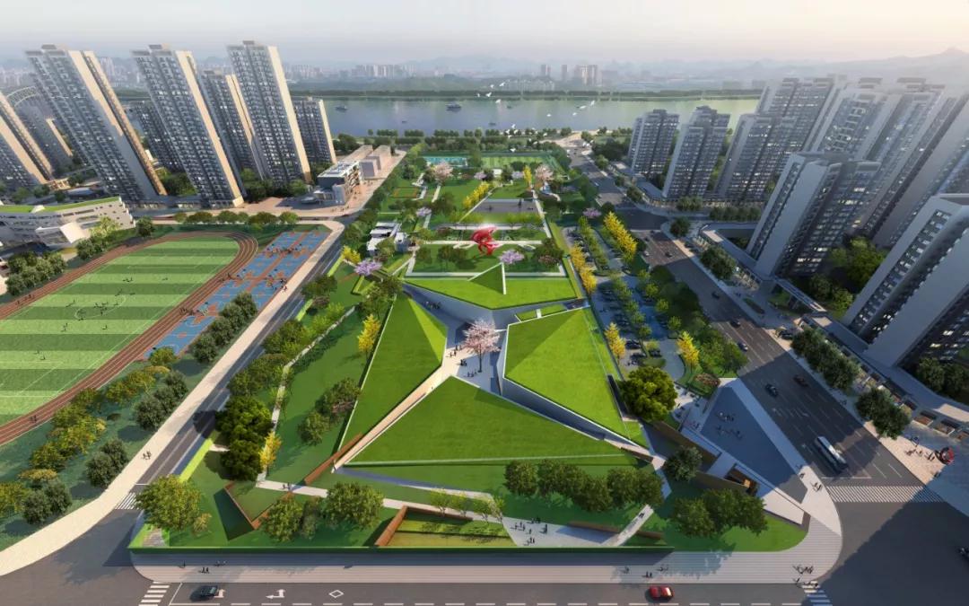 柳州市十五中白露校区,柳州市十五中总部新校区地址