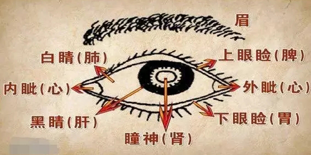 古医书治疗眼疾,古代治疗眼疾用什么中药