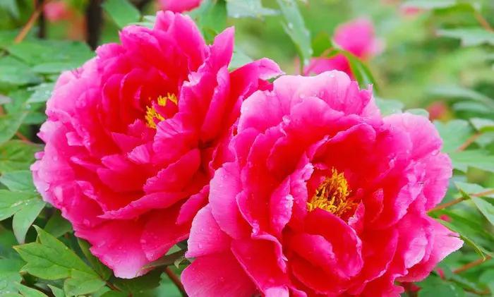 外地人在洛阳的真实生活,在洛阳生活是什么样的