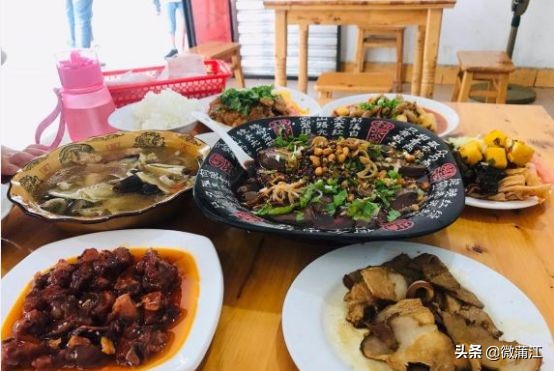 探访深山竹林倍感神清气爽,蒲江遥望雪山感受诗意栖居