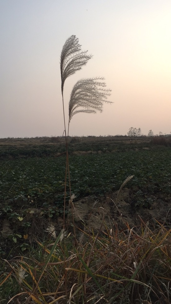 2023淘宝流量分发机制,淘宝流量分发流程