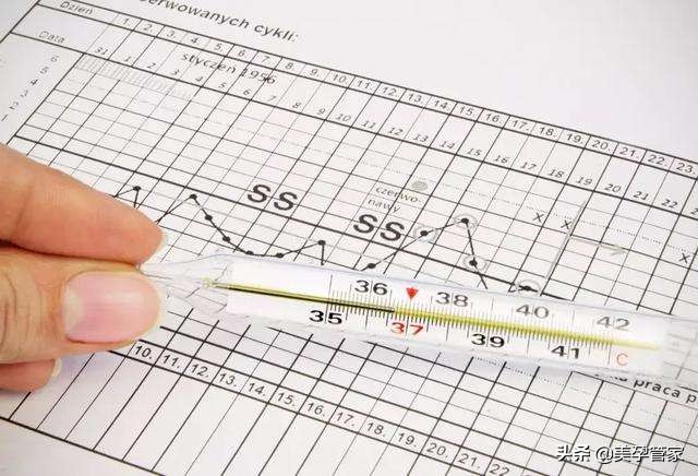 怎么算排卵期计算方法,女性怎样计算出正确的排卵期