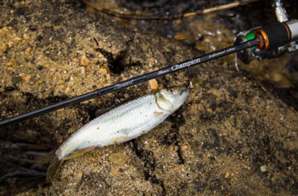 三个赚钱的小生意怎么做,三个利润大到吓人的小生意