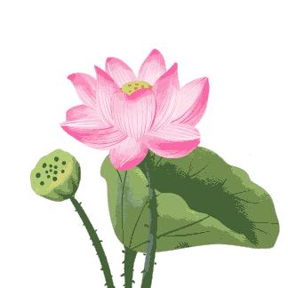 初中文言文一词多义180字,初中文言文一词多义的词