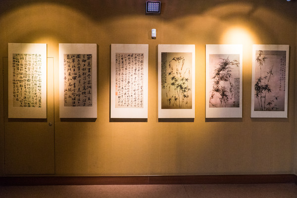 踏春赏花拍美景,踏春赏花逛湖
