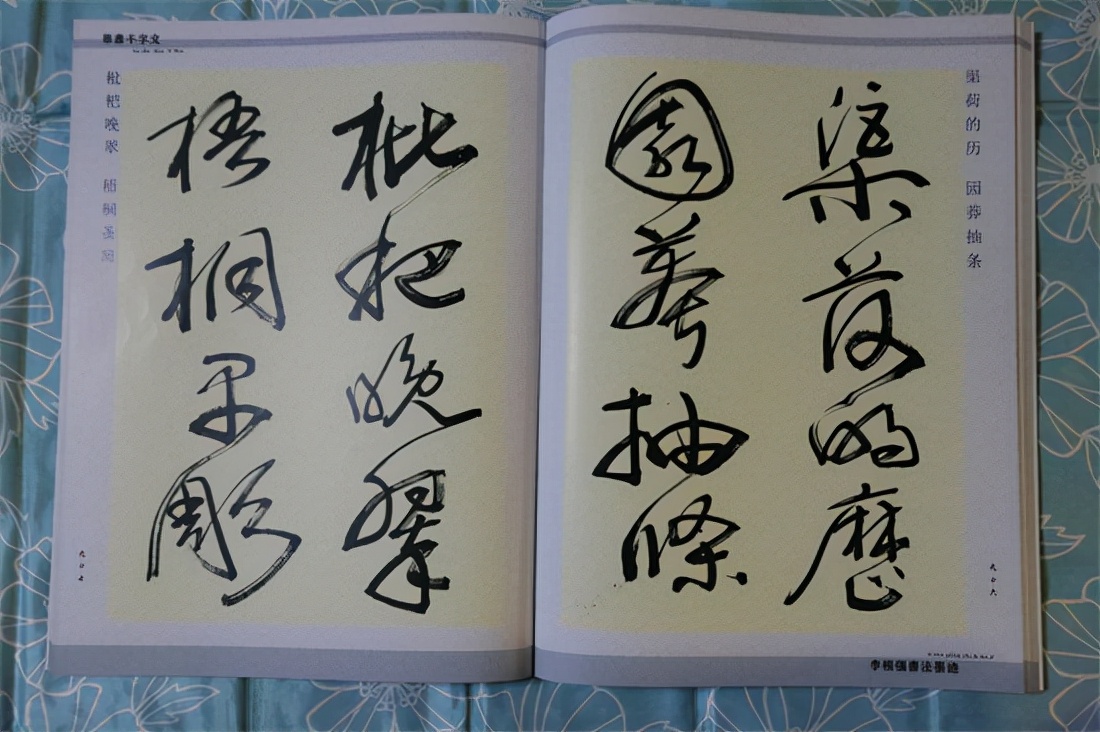 草书千字文真迹,书法千字文作品欣赏启功先生