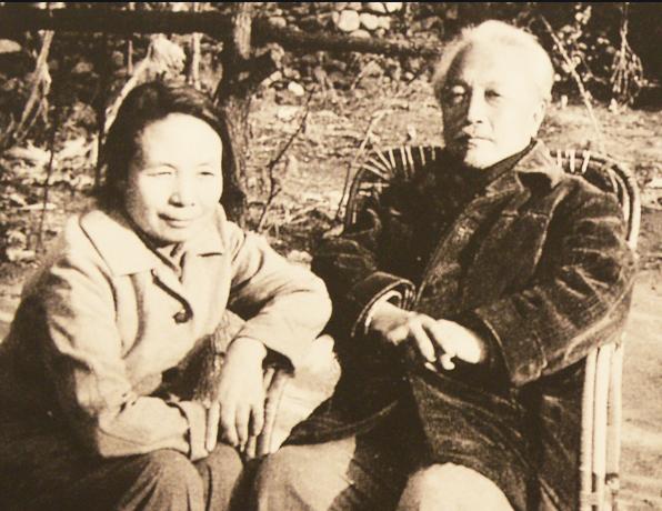 陈布文和灰娃结婚后情况,陈布文与灰娃是什么关系