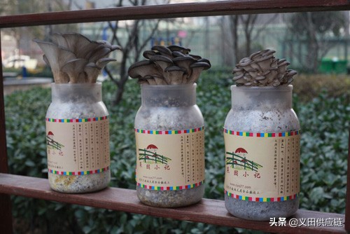 农村应该做什么副业最赚钱,农村做什么事业赚钱