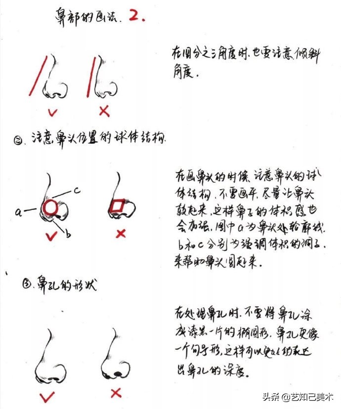 速写简单入门头部,速写头低不下去